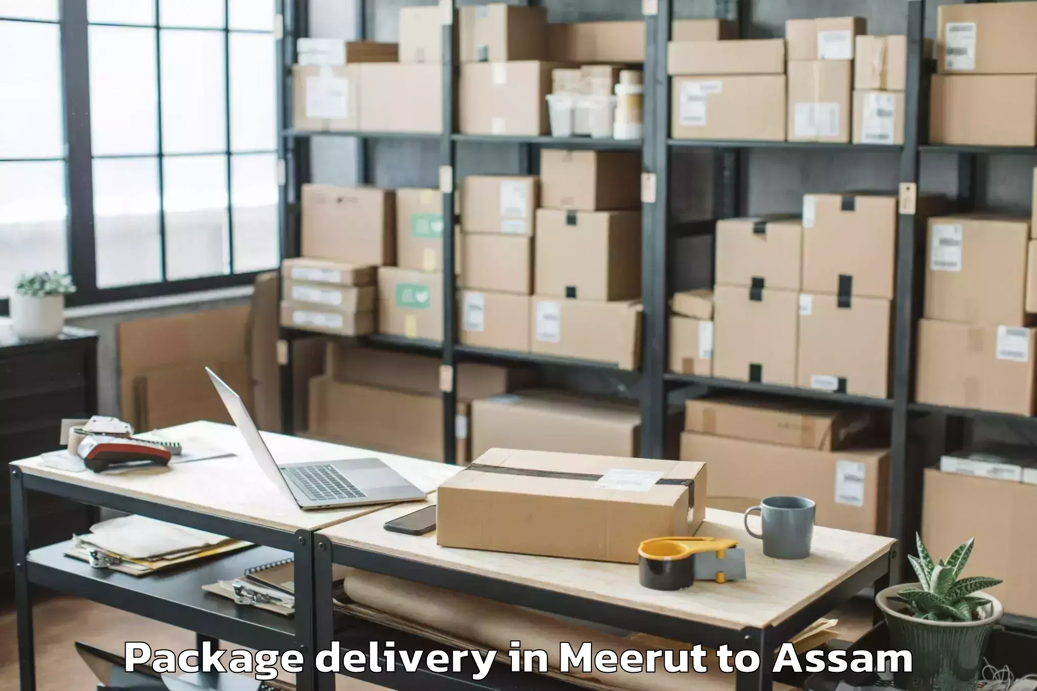 Meerut to Palasbari Package Delivery Booking